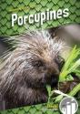 Porcupines - Preview