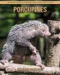 Porcupines - Preview