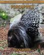 Porcupines - Preview