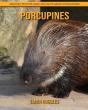 Porcupines - Preview