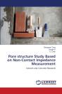 Pore Structure Study Based On Non-Contact Impedance Measurement - Preview