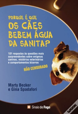 Capa do artigo Porque é que os Cães Bebem Água da Sanita?
