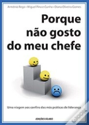 Capa do artigo Porque Não Gosto do Meu Chefe