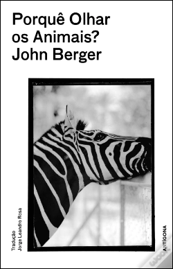 Capa do artigo Porquê Olhar os Animais?