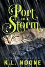 Port In The Storm - Preview