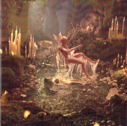 Capa do artigo Portals - CD