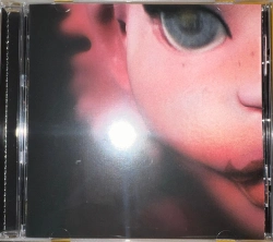 Capa do artigo Portals - CD