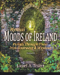Portals Through Time - Irish Doorways & Windows - Preview