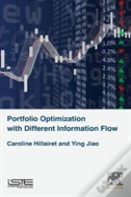 Portfolio Optimization With Different Information Flow