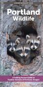Portland Wildlife - Preview