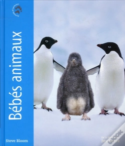 Capa do artigo Portraits D'Animaux ; Bébés Animaux