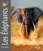 Portraits D'Animaux ; Les Éléphants - Preview