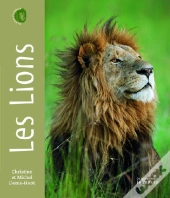 Portraits D'Animaux ; Les Lions