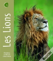 Capa do artigo Portraits D