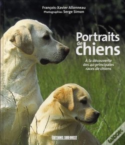 Capa do artigo Portraits De Chiens