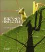 Portraits D'Insectes De La Mediterranee - Preview