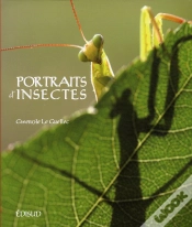 Capa do artigo Portraits D