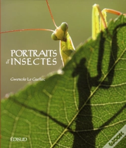 Capa do artigo Portraits D'Insectes De La Mediterranee