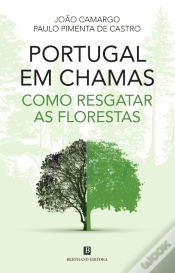 Capa do artigo Portugal em Chamas - Como Resgatar as Florestas