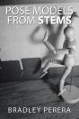 Pose Models From Stems - Preview