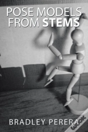 Capa do artigo Pose Models From Stems