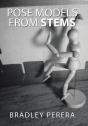 Pose Models From Stems - Preview