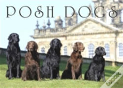 Capa do artigo Posh Dogs
