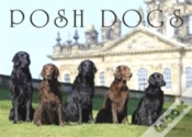 Capa do artigo Posh Dogs