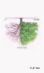 Position: Ramblings Of A Deeply Rooted Soul - Preview