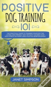 Capa do artigo Positive Dog Training 101