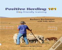 Positive Herding 101