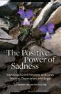 Positive Power Of Sadness - Preview