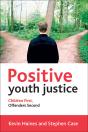 Positive Youth Justice - Preview