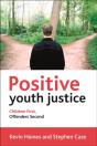 Positive Youth Justice - Preview