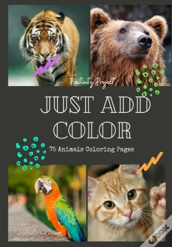Capa do artigo Positivity Project'S Just Add Color
