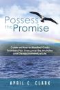 Possess The Promise - Preview