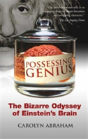 Possessing Genius - Preview