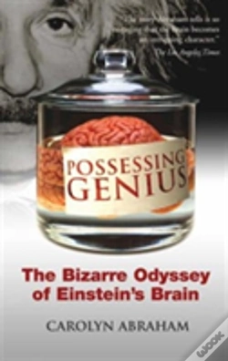 Capa do artigo Possessing Genius