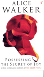 Possessing The Secret Of Joy - Preview