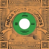 Capa do artigo Possibilities/Shazzy - Vinil