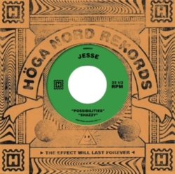 Capa do artigo Possibilities/Shazzy - Vinil