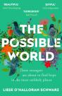 Possible World - Preview