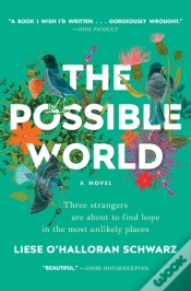 Capa do artigo Possible World