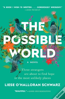 Capa do artigo Possible World