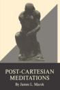 Post-Cartesian Meditations - Preview