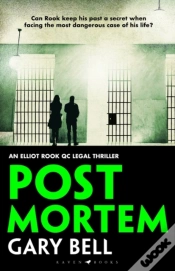 Capa do artigo Post Mortem