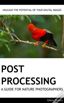 Capa do artigo Post Processing: A Guide For Nature Photographers