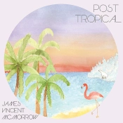 Capa do artigo Post Tropical - CD