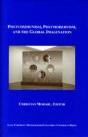 Postcommunism, Postmodernism, And The Global Imaginary - Preview