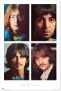 Beatles Poster - White Album - Preview